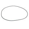 Oring  Uszczelniacz mostu carraro Case CS CVX150, CVX160, CVX170, CVX175, CVX195, New Holland