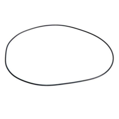 Oring  Uszczelniacz mostu carraro Case CS CVX150, CVX160, CVX170, CVX175, CVX195, New Holland