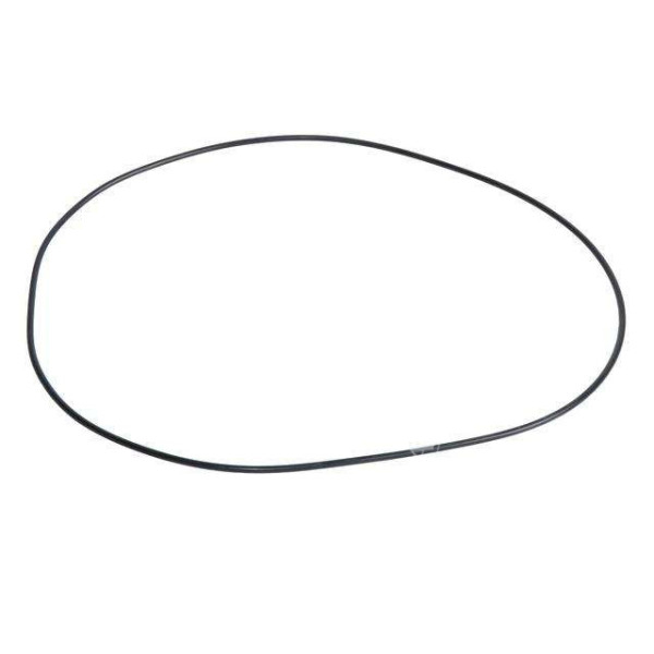Oring  Uszczelniacz mostu carraro Case CS CVX150, CVX160, CVX170, CVX175, CVX195, New Holland