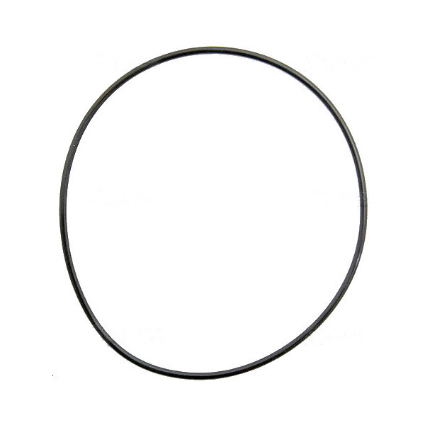 SCY5711 Uszczelniacz tulei 98x2,2 mm