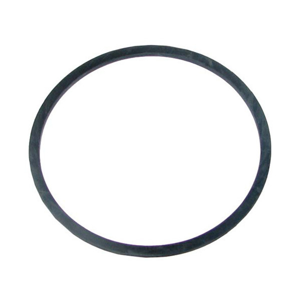 Uszczelniacz skrzyni 75x2,5 mm 401723R1 Case 2400 3210 3220 3230 4210 4240 844 484 884 785 95 695 C C50 C90 278 574 CX CX100