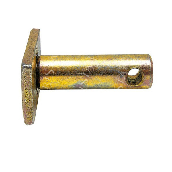 AR55695 Sworzeń ramienia John Deere:
940 1030 1130 1140 1550 2140 2250 2450 2650 2850 3030
3040 3050 3120 3130 3140