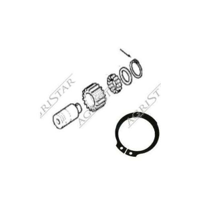 PON4925 Zabezpieczenie satelit Carraro