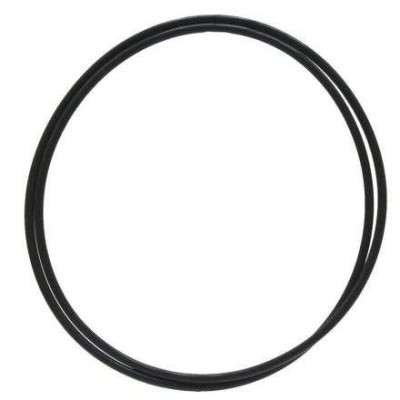 HAM7098 O-ring tłoka kołnierza hamulca Case