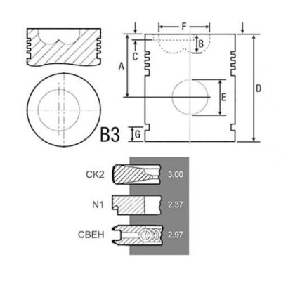 SCY3072 Tłok z pierścieniami 111,61mm 3 pierścienie Case MXM, New Holland TM, 87802672, 87802835