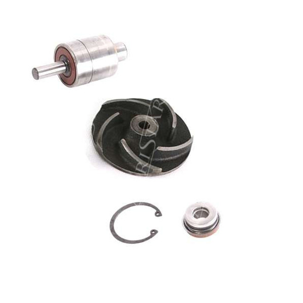 zestaw pompy wody Fendt Favorit 816, 818, 822, 824  920, 924, 926, F824200610010, F926200610060, F824200610110