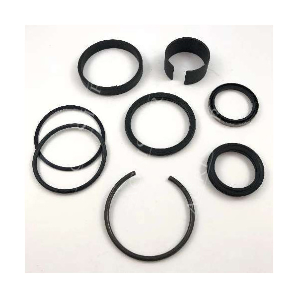 New Holland komplet kpl uszczelniaczy siłownika C190, C175 L465, L565 L160, L140, L175 LS140, LS150, LS160 LX565, LX485, LX465 S