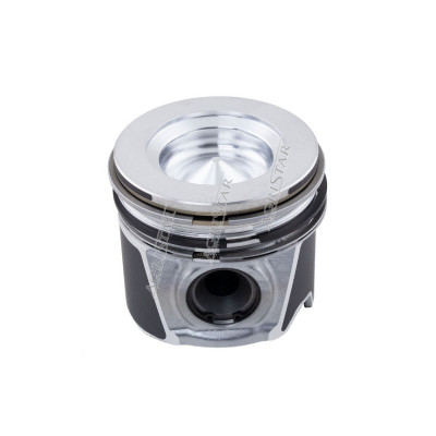 SCY3080 Kolben mit Ringen STD CNH