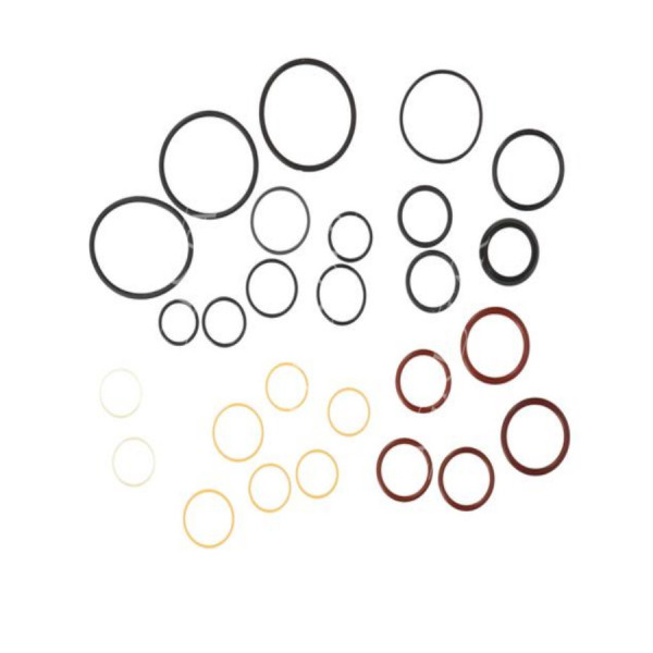 Zestaw oringi rozdzielacza hydraulicznego Case:

580K, 580SK
580LE, 580SL, 580SLE
580M, 580SM
590LSP, 590SN, 590SM, 590SLE