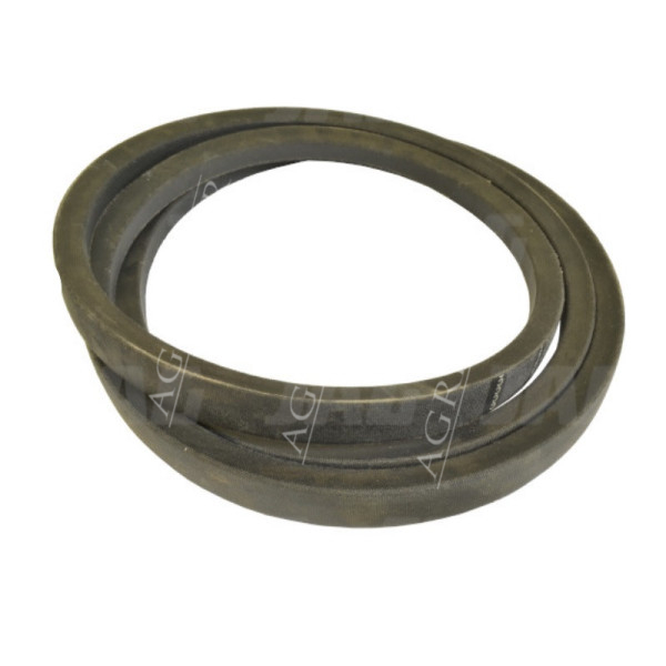 PAS1029-254.022C Continental-Riemen 1902206 AH202773 615173 724339