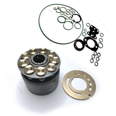 Zestaw naprawczy pompy hydraulicznej Bosch Case
Maxxum 5120,5130, 5140, 5150,5220,5230, 5240, 5250