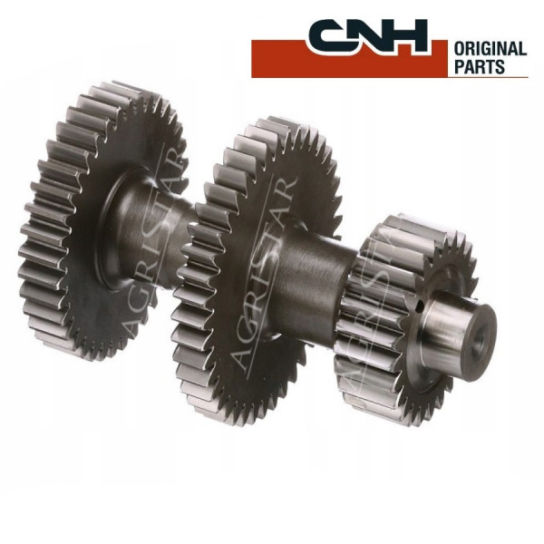 Koła zębate wałka skrzyni biegów New Holland
TS100A 
T6070
T6.120
T5.100

Case
Farmall
Maxxum
MXU
Steyr
PROFI