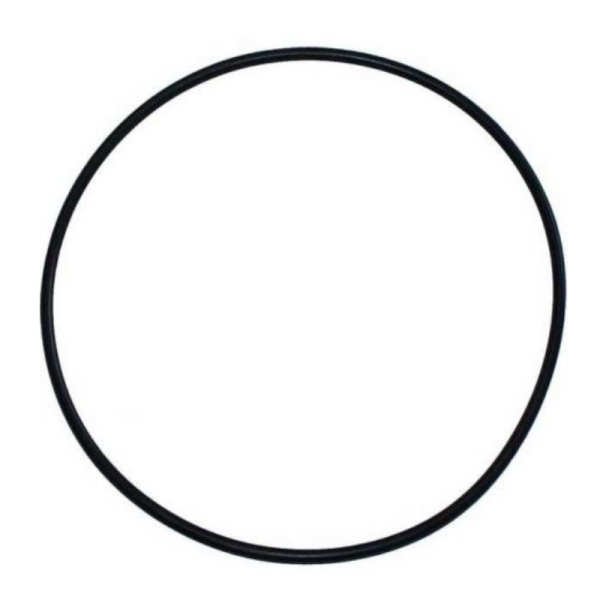 SPR2506 Oring skrzyni