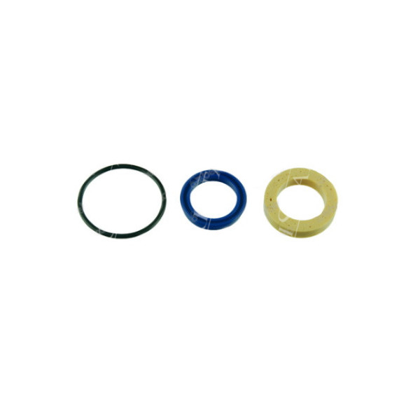 CH12-CL0014 Dichtungssatz - Rollenantrieb