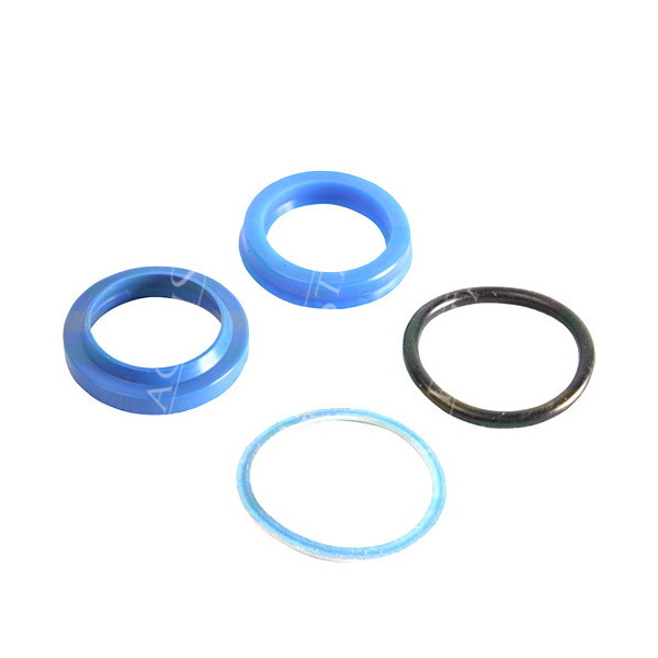 CH12-CL0025 Zestaw uszczelnień - siłownik motowidła (prawy)