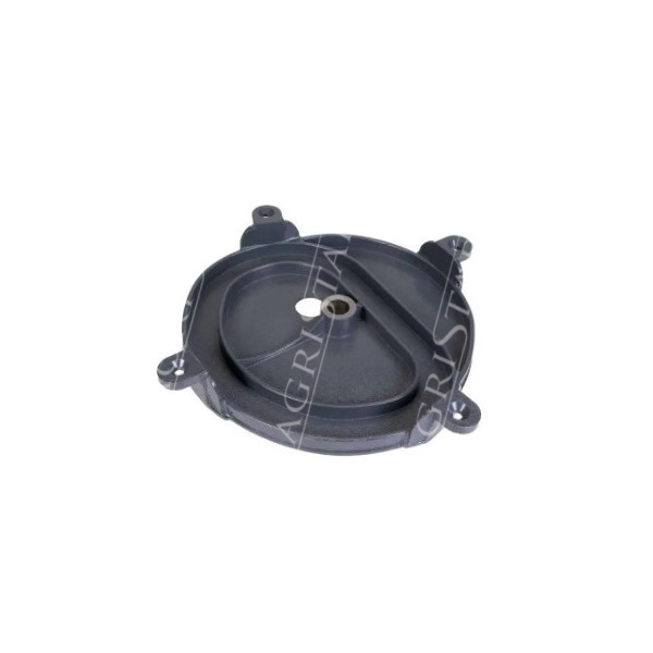 610408 Talerz boczny ślimaka hederu