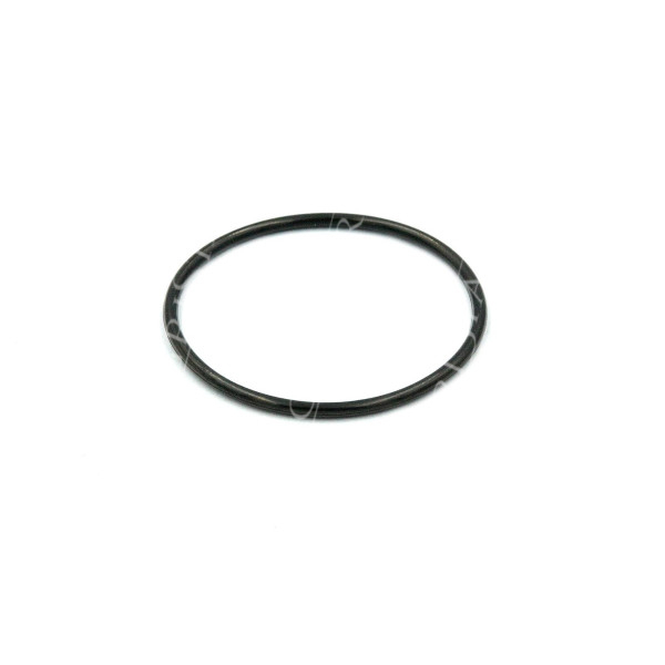 SKR2133 Kupplungskolben O-Ring klein