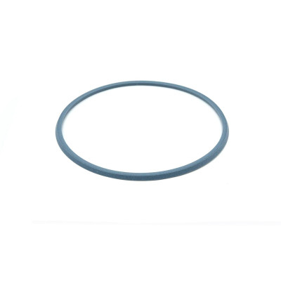 Uszczelniacz tłoka sprzęgłowego duży 109663