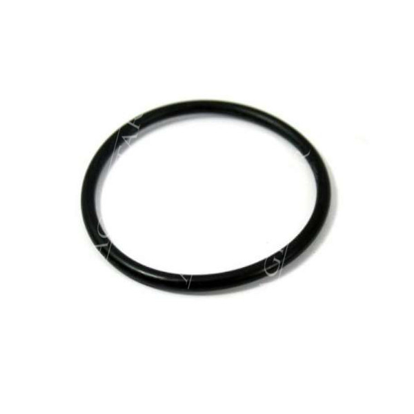 JM99-Z44829 Pierścień wariatora