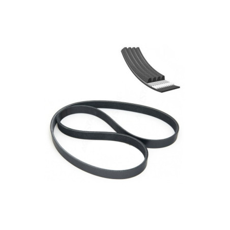 Pasek wielorowkowy 4PK1054 Massey Ferguson
5445 5455 5460
6445 6455  4351269M1, 4295980M1