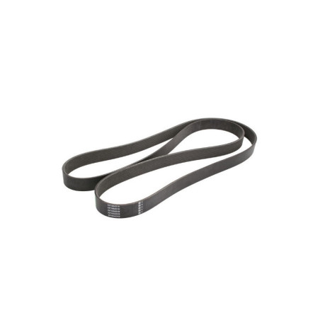 Pasek wielorowkowy 10PK1890 Massey Ferguson 4375174M1