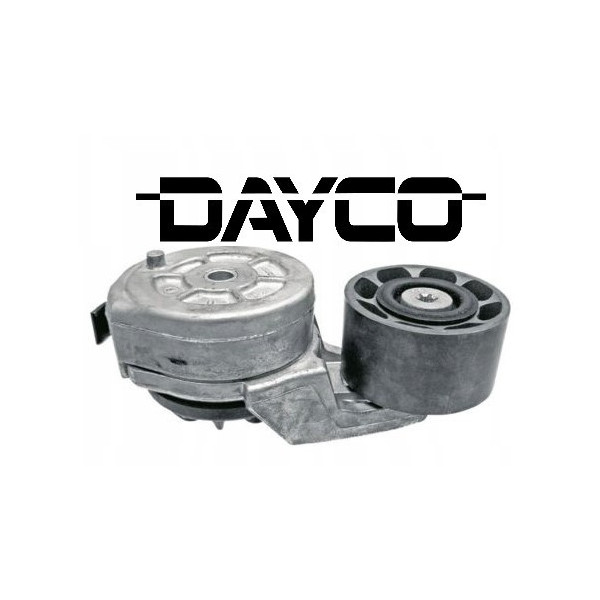 Napinacz paska Case Ford New Holland M100 ,M115 ,M135 ,M160, TM110, TM115, TM120, TM125,TM130, TM135,TM140,TM150,TM155,TM165,