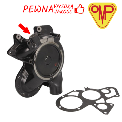 Pompa wody 4223101M91 314696A1 447367A1 Landini Legend 105 120NG Mythos JCB 407 530 540 Manitou M MRT Massey Ferguson 4325 4370