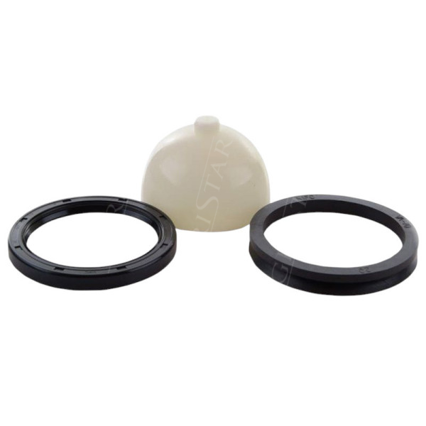 PON2146 Achsschenkelbolzen-Buchsensatz Merlo