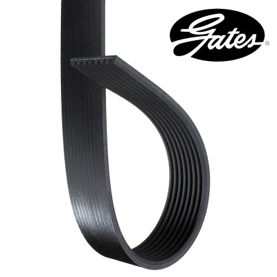 SUC1503 Keilrippenriemen 8PK1705 R135590 R128196