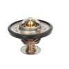 SUC2028 Thermostat 81 °C