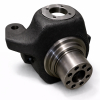 Spicer Radnabe Achsschenkel 960369 212.06.702.34 603696 , 85815843