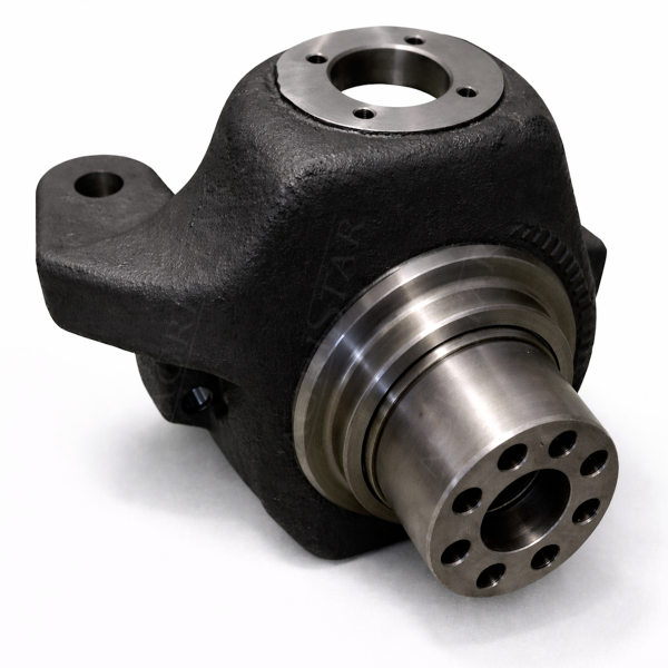 Radschenkelachse 603696 , 85815843 , 960369