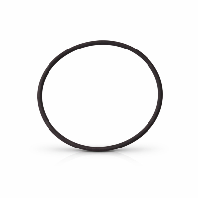 SKR2079 Druckkolben-O-Ring