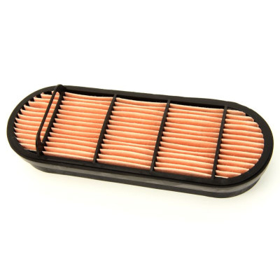 Luftfilter P606121 AL150288 CF30100 42795