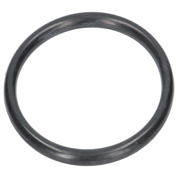 JM99-Z64622 Variator-O-Ring