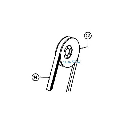 CH99-673715 Riemenscheibe