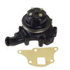 Pompa wodna z kołem pasowym 87800115, 81872277, 83943914
