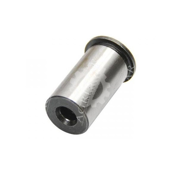 CH99-637991 Sworzeń z rantem