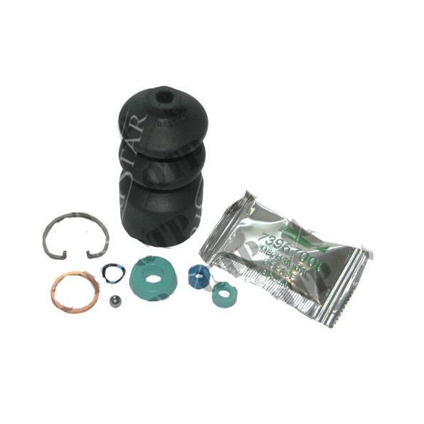 Zestaw naprawczy pompki hamulcowej Terex 860 6190801M91 6102448M91