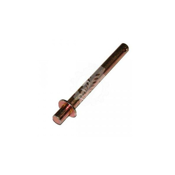 CH99-650857 Sworzeń