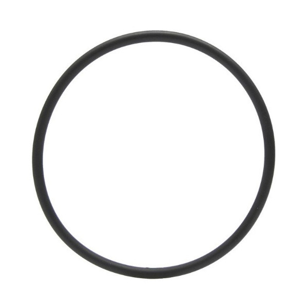 Uszczelniacz do tłoka oring podnośnika 114x5,7mm Case
Maxxum 5120 5130 5140 5150 5250 302910A1