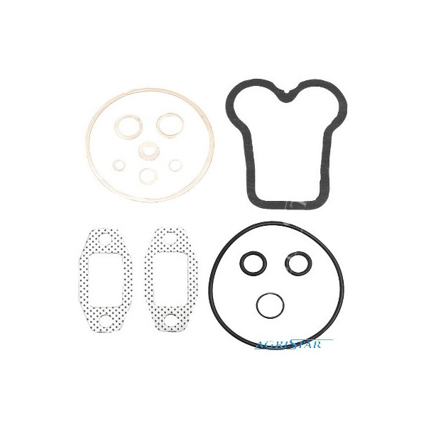 Komplet zestaw uszczelek głowicy Fendt 102 102S 102SA F231GT Kommunal Renault 361 421M 456 460 486 498 50 91 94 98 7701456000
