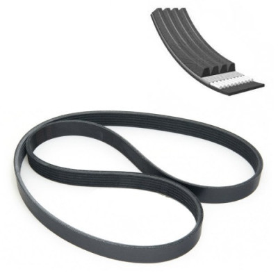 SUC1541 Pasek wielorowkowy 4PK 855mm