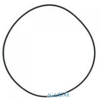 HAM1838 Oring tłoka hamulcowego 267mm
