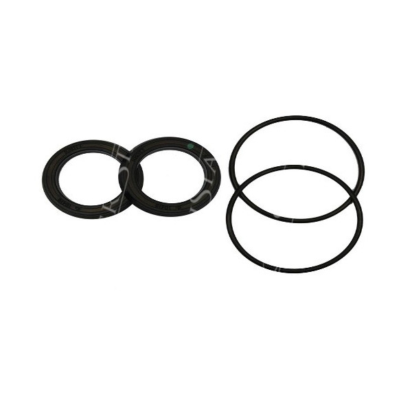 Zestaw uszczelek cylinderka hamulcowego Fendt
Favorit 711, 712, 714, 716, 718, 815, 817, 818, 820 F716150070040 (G716150070051)