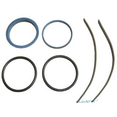 Zestaw naprawczy pompki,  Zestaw naprawczy wysprzęglika Massey Ferguson 3085, 3095, 3115, 3120, 3125, 3900427M91