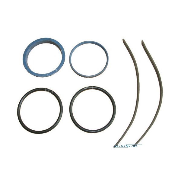 Zestaw naprawczy pompki,  Zestaw naprawczy wysprzęglika Massey Ferguson 3085, 3095, 3115, 3120, 3125, 3900427M91