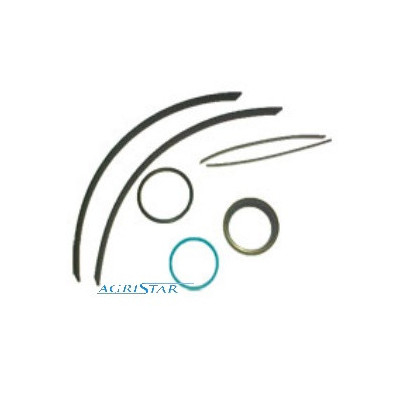 Zestaw naprawczy wysprzęglika do Massey Ferguson 3635 3645 3655 3670 3900244M91