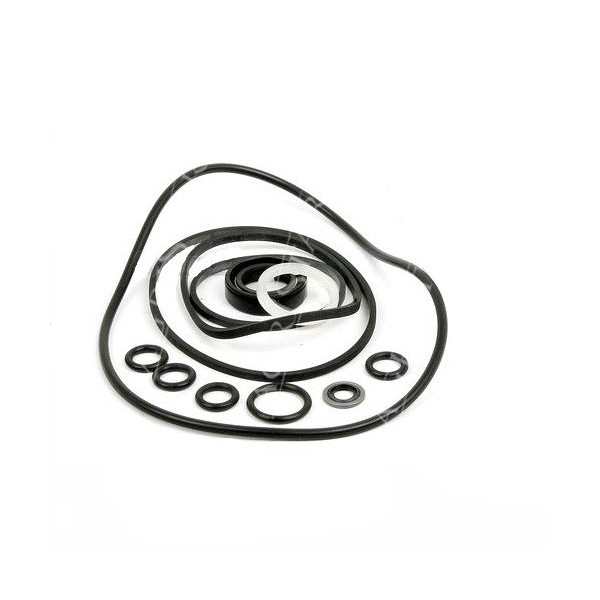 Zestaw uszczelnień pompy wspomagania case 580g 580f David Brown: 1210, 1212 1410, 1412 1290, 1390, 1490 990, 995, 996