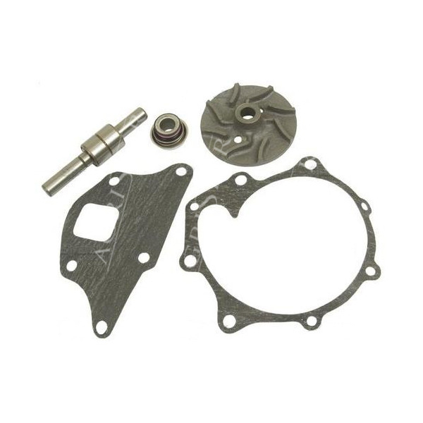 SUC6032 Zestaw naprawczy pompy wodnej